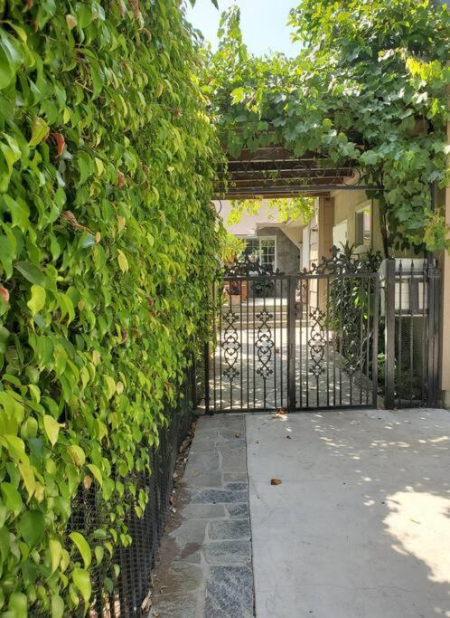 Located In The Heart Of The West Side Apartment Los Angeles