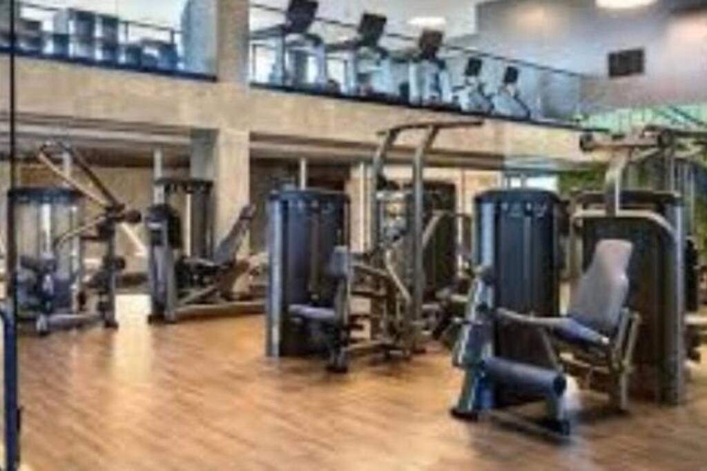 Apartment Luxury Modern And Bright In Hollywood 2br 2ba- 5215