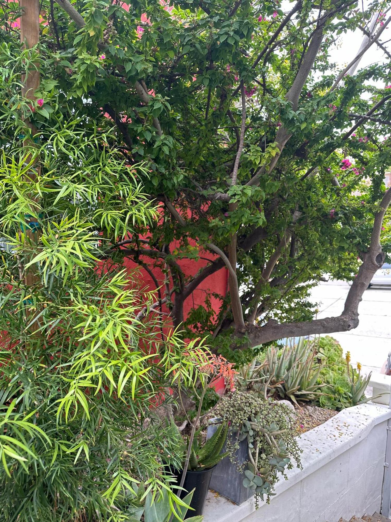 Modern, Remodeled Echo Park House-walk To Sunset Blvd, Dodgers Stadium, Shops, Bars, Restaurants, Lake, Concerts Pousada *