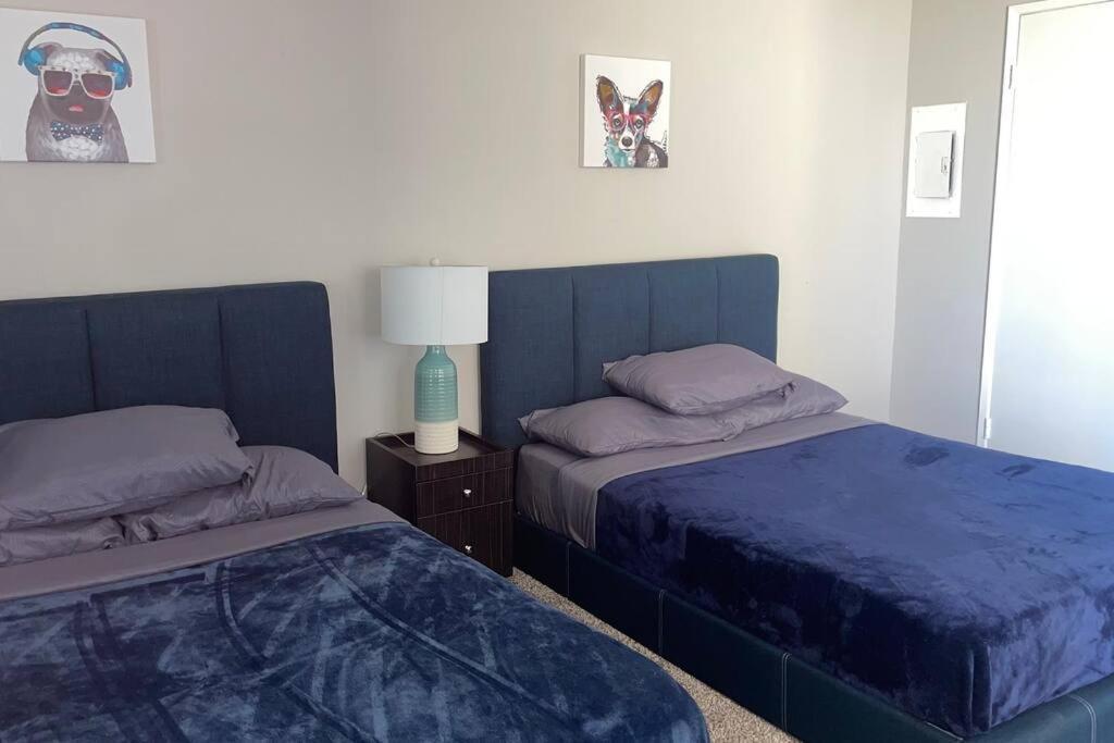 Apartment Sleeps 5 Major Attractions Mins Away 1 Bedroom Los Angeles