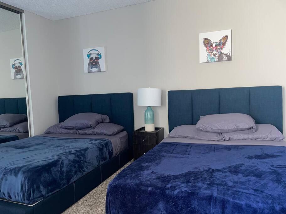 Sleeps 5 Major Attractions Mins Away 1 Bedroom Apartment *