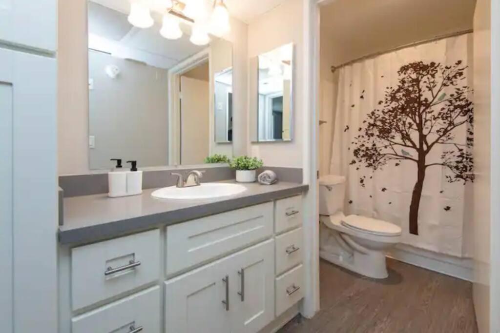 Hollywood Sleep 7 Panoramic View Two Bedroom With Rooftop Apartment *