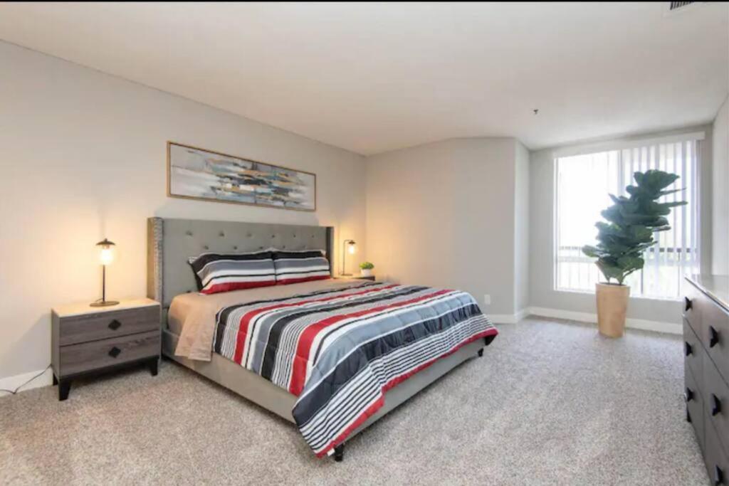 Apartment Hollywood Sleep 7 Panoramic View Two Bedroom With Rooftop Los Angeles