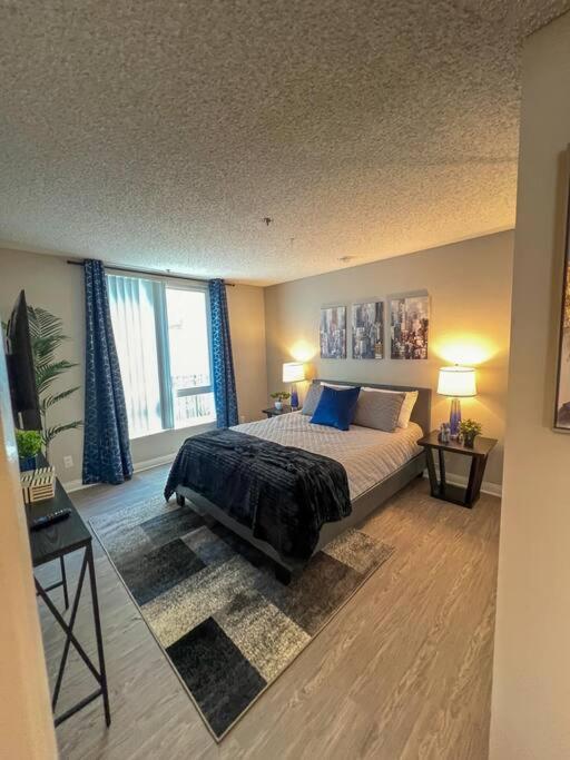 Exceptional 2 Bedroom In Heart Of Hollywood 201 Apartment Los Angeles