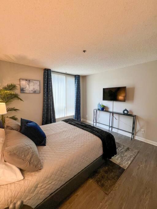 Exceptional 2 Bedroom In Heart Of Hollywood 201 Apartment *