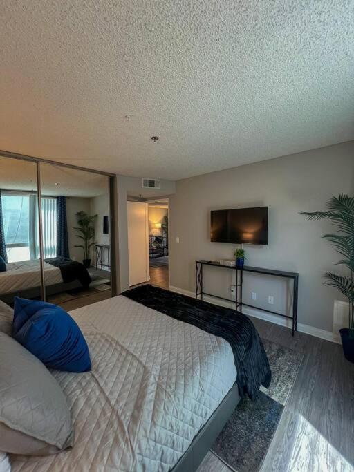 Exceptional 2 Bedroom In Heart Of Hollywood 201