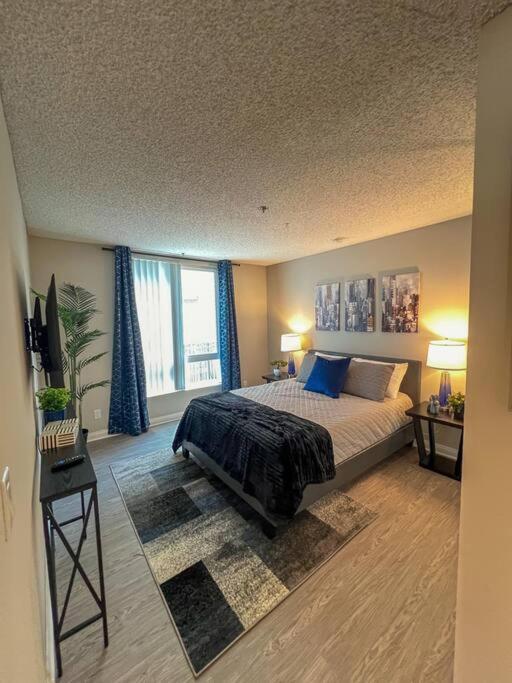 Exceptional 2 Bedroom In Heart Of Hollywood 201