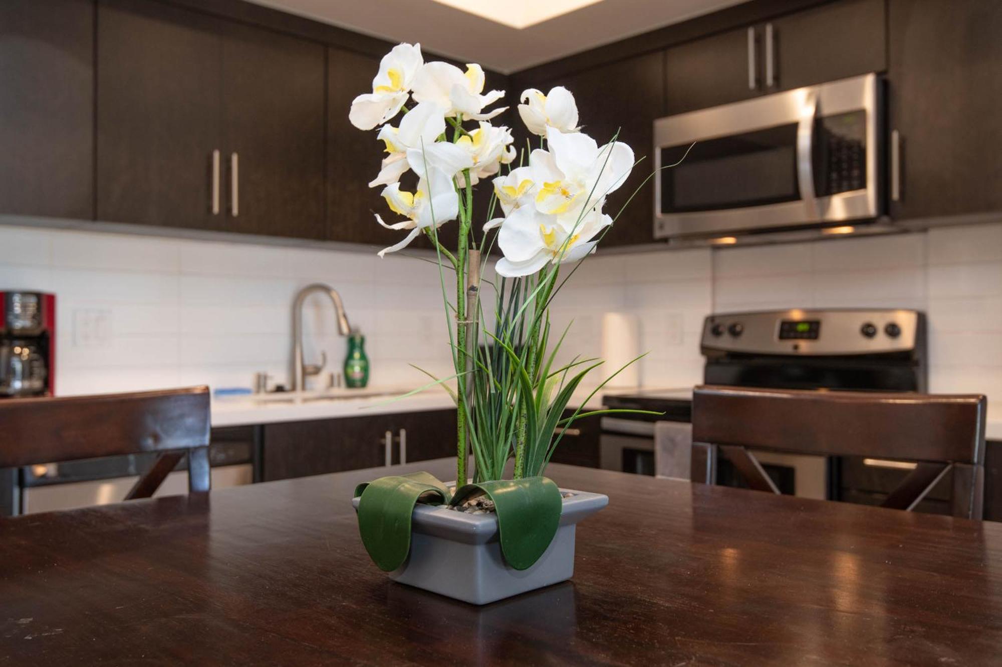 Two Bedroom In Hollywood! Apartamento *