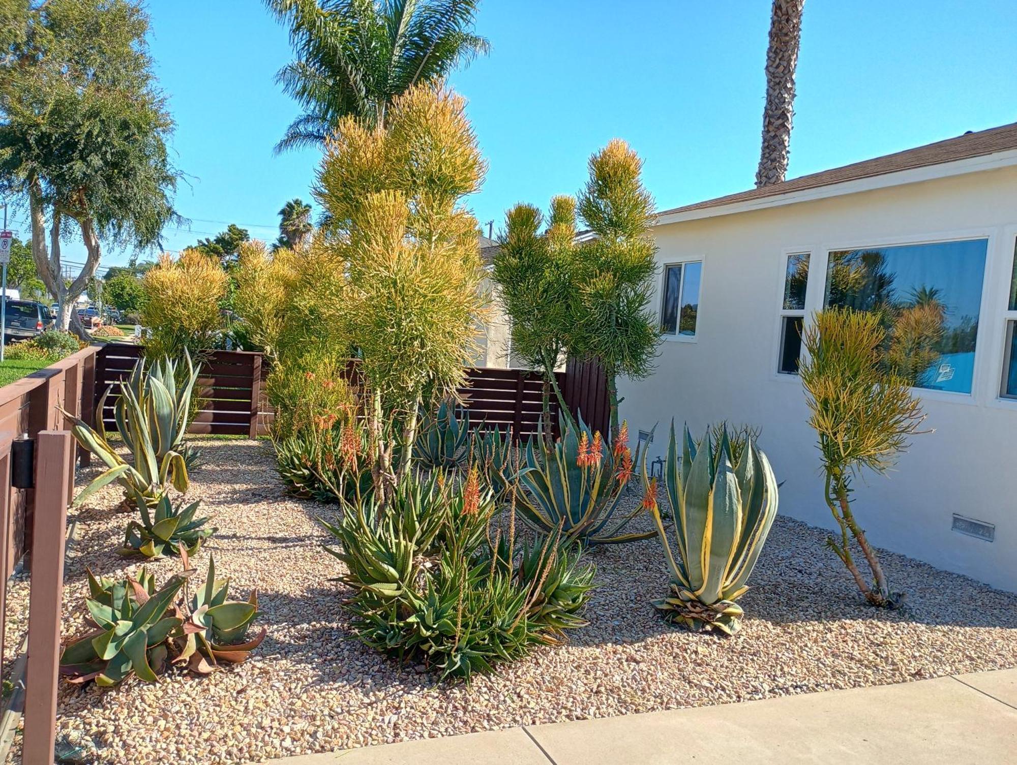 Modern Peaceful Private Oasis Near The