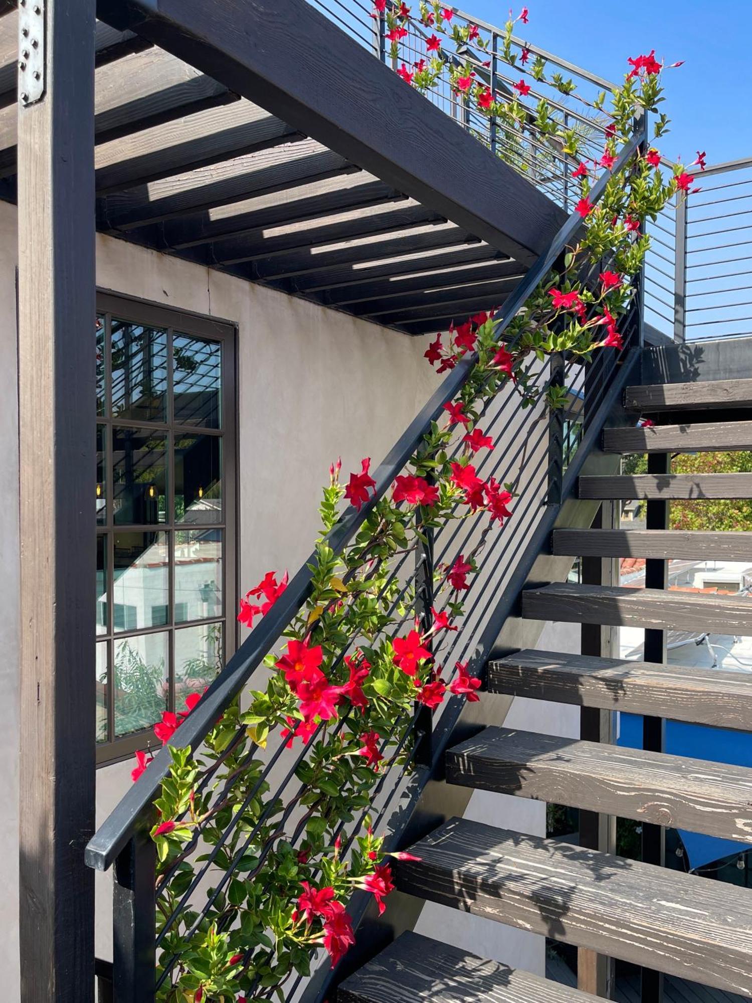 Cozy With Rooftop Deck Apartment Los Angeles
