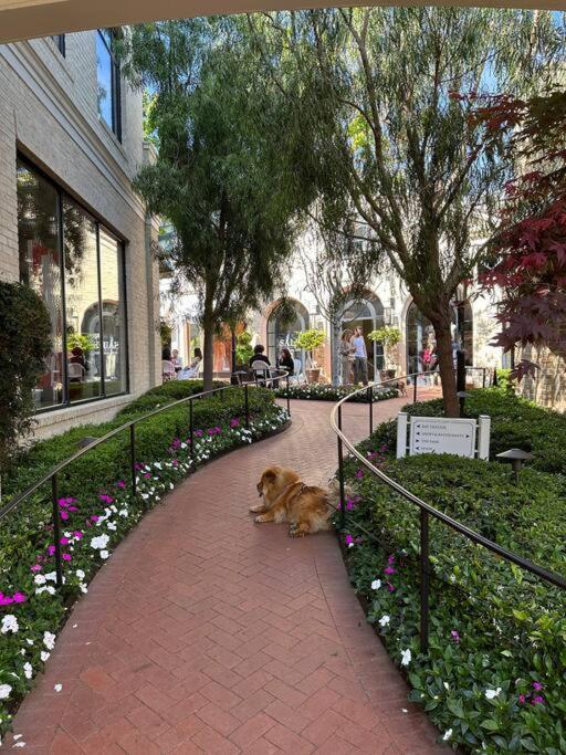 Villa Vacation Los Angeles