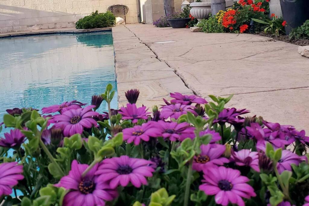 Holiday home Stylish Ranch With Gorgeous Swimming Pool & Piano