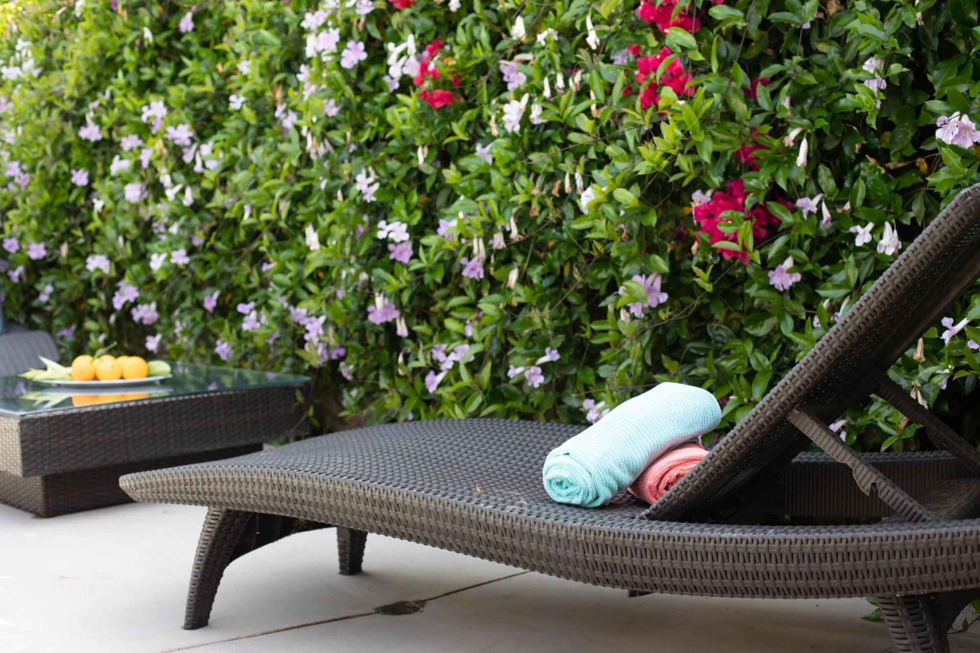 Oasis With Pool And Music By Benvenu