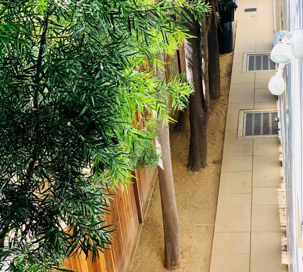 Del Rey/culver Dream Oasis Homestay