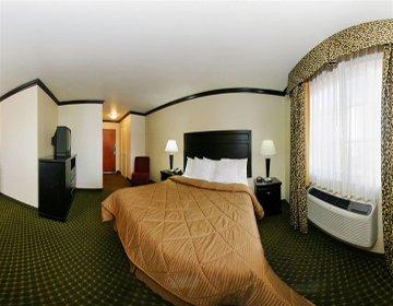 Avenue Hotel, Ascend Collection Hotel