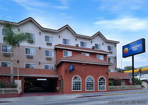 Hotel Avenue Hotel, Ascend Collection