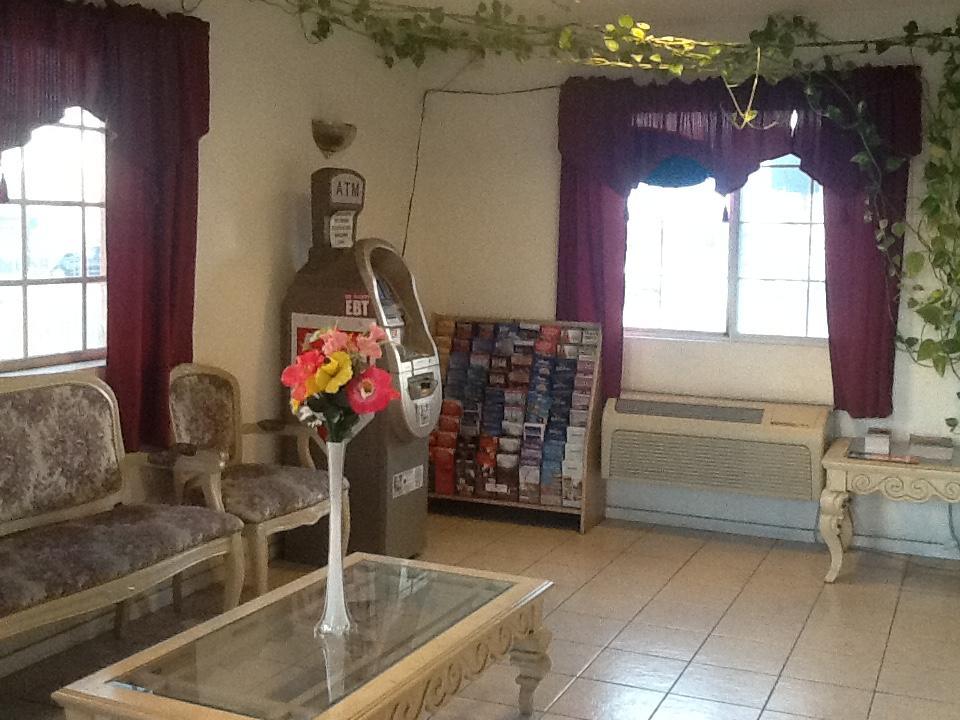 Motel Palm Tree Los Angeles