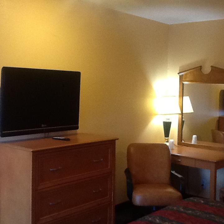 Motel Palm Tree *
