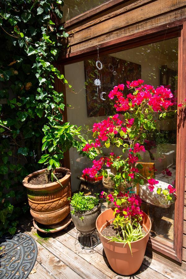 The Treehouse, Bel Air - A Vegan Bed & Breakfast Los Angeles
