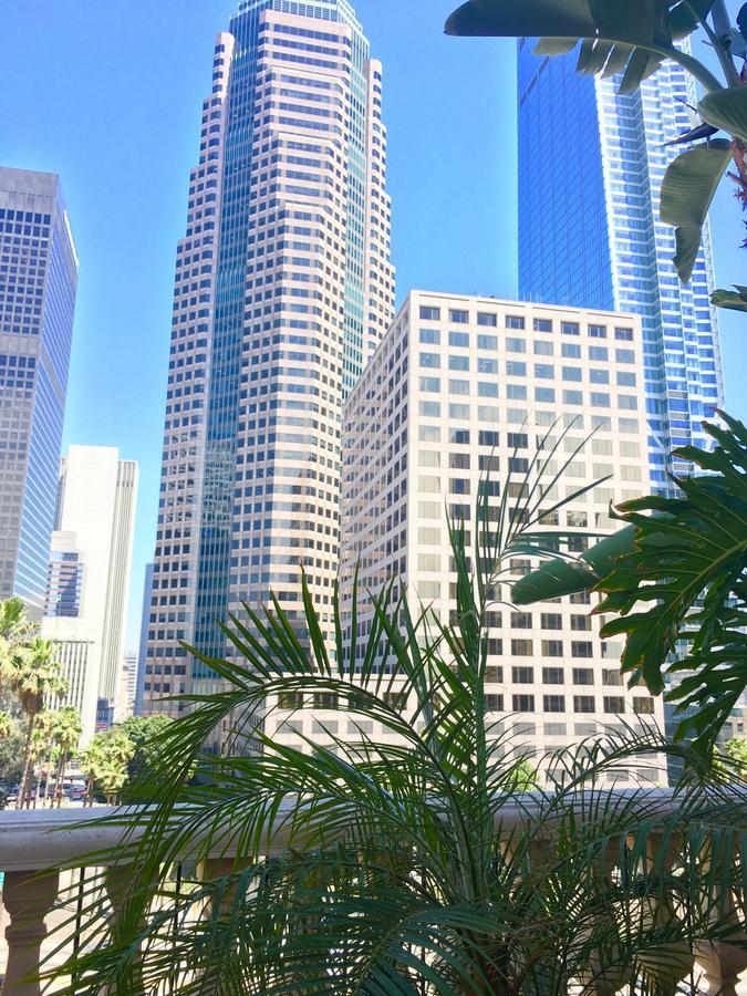 New Luxury Dt La Apt- Pool, Gym, Staple Center Apartment Los Angeles