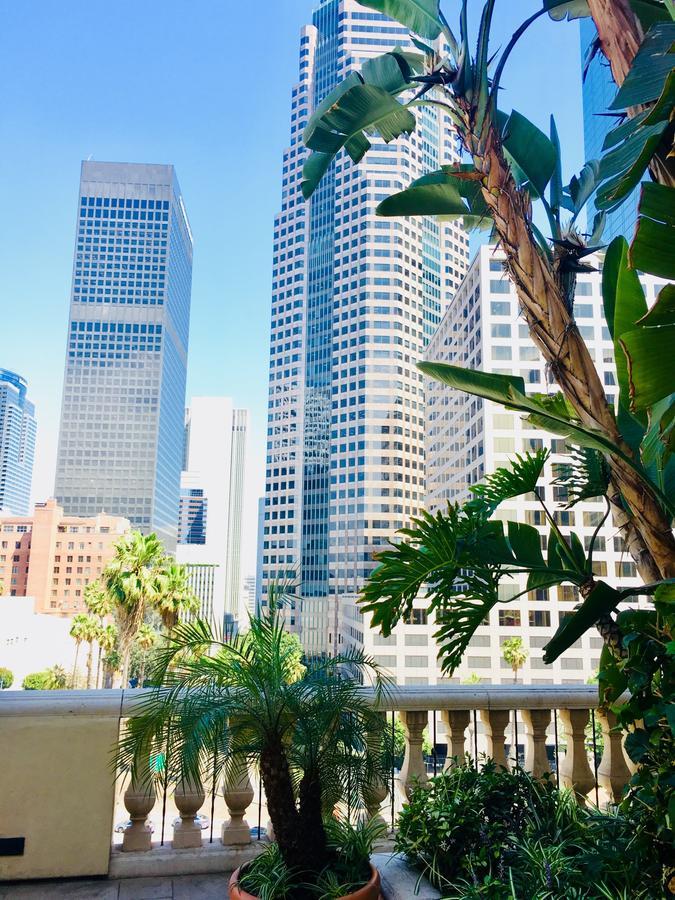 New Luxury Dt La Apt- Pool, Gym, Staple Center Apartment *