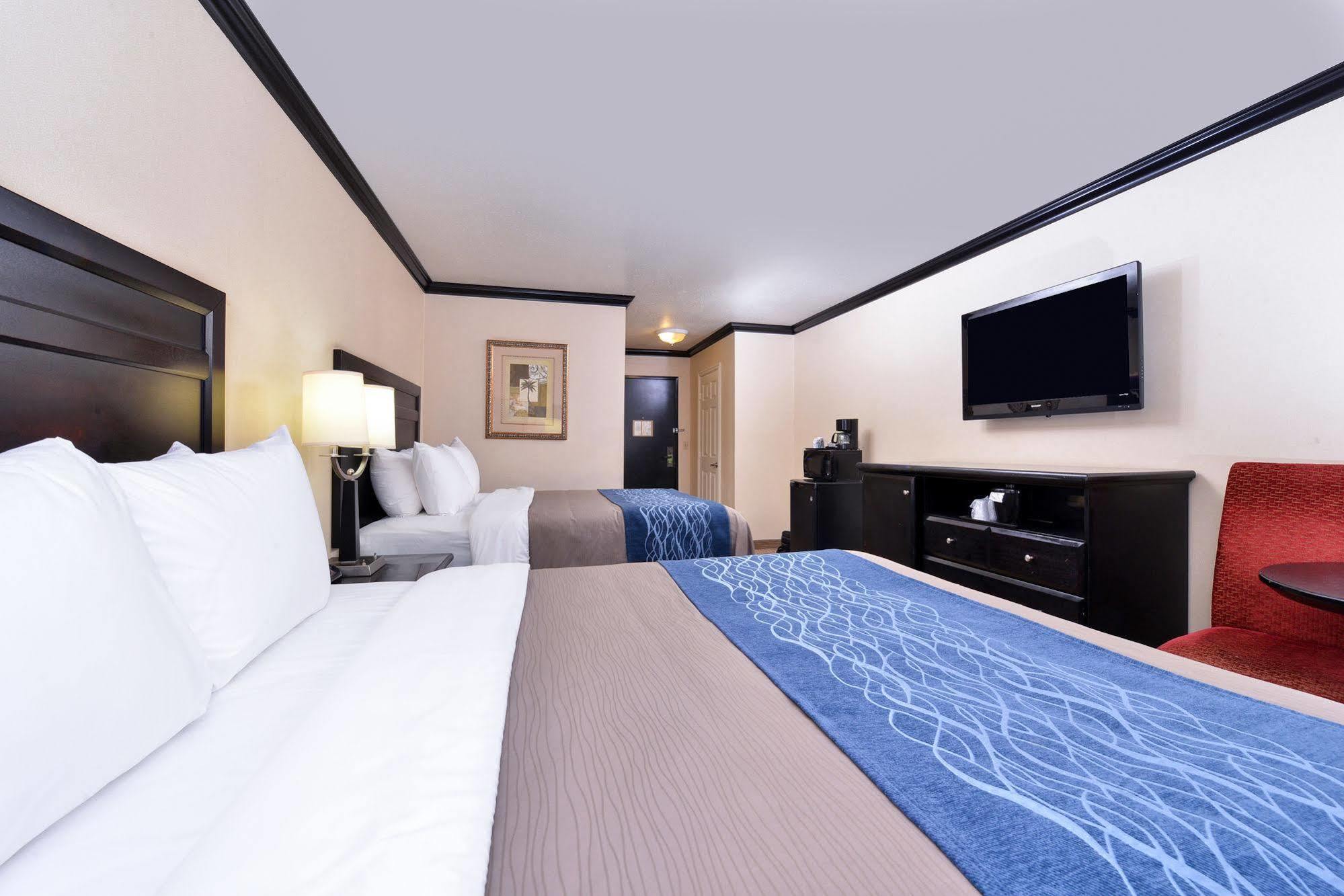 Avenue Hotel, Ascend Collection Hotel 3*