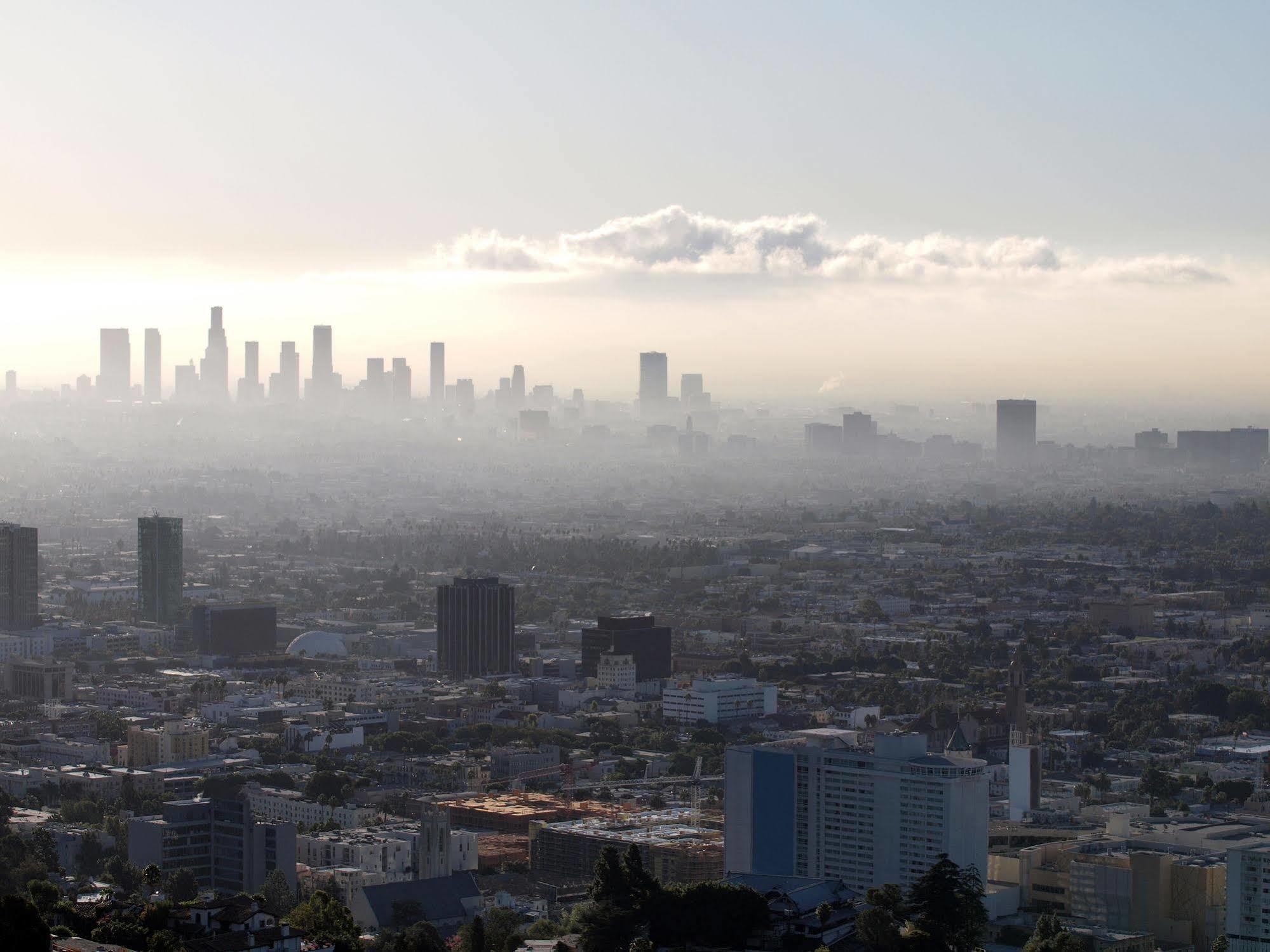 Hotel Avenue Hotel, Ascend Collection Los Angeles