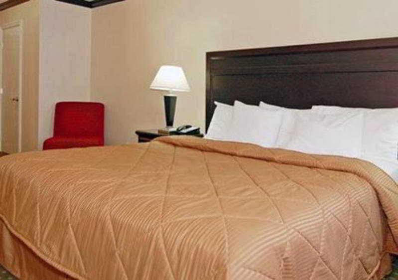 Avenue Hotel, Ascend Collection Hotel 3*