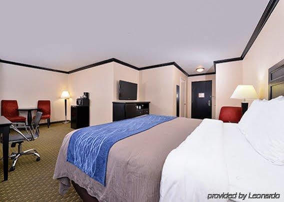 Hotel Avenue Hotel, Ascend Collection 3*