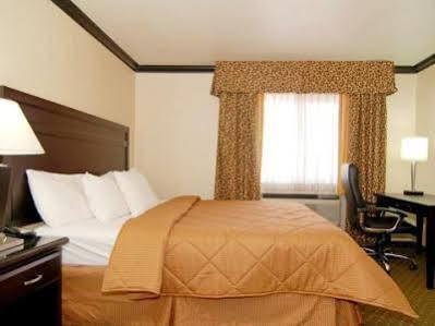Avenue Hotel, Ascend Collection Hotel