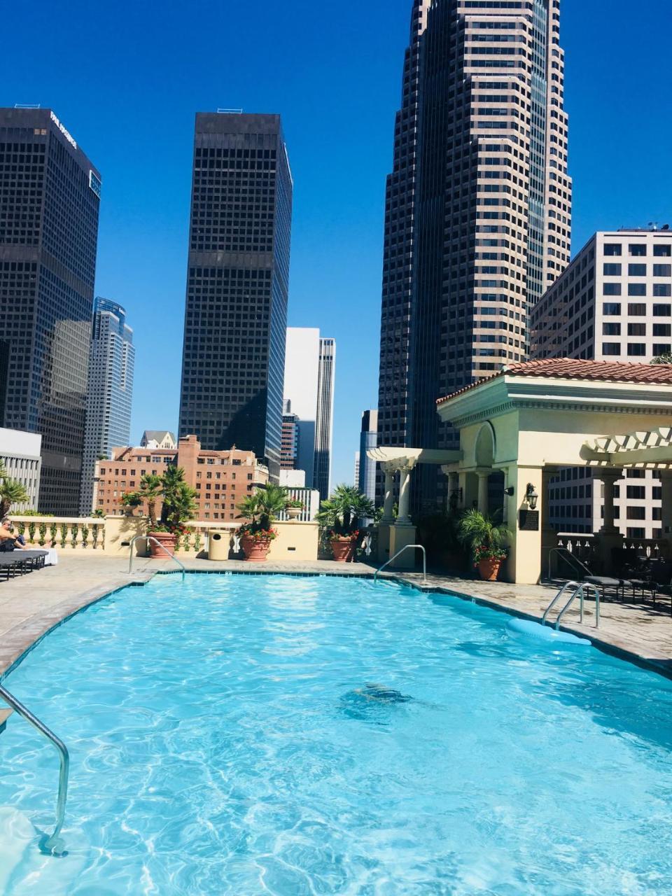 New Luxury Dt La Apt- Pool, Gym, Staple Center Apartment *