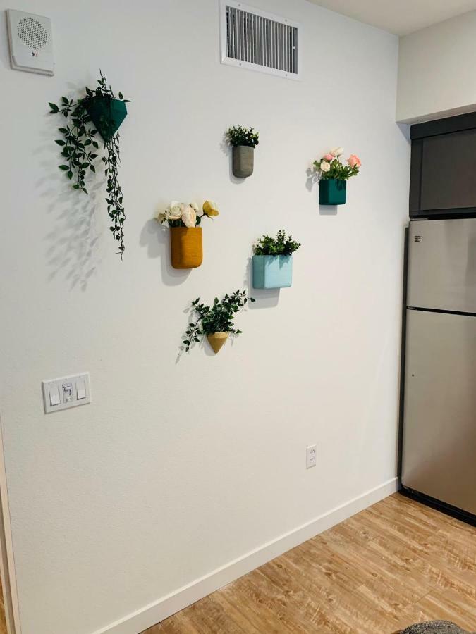 Mojave Studio In Hollywood Apartment