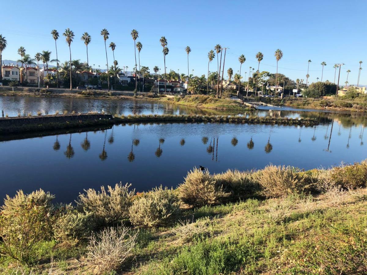 Breathtaking In The Heart Of Marina Del Rey/ Venice *