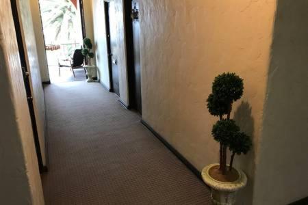 Apartment The Riviera